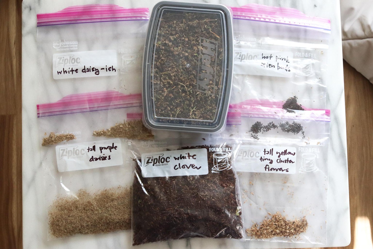 How to Store Your Seeds