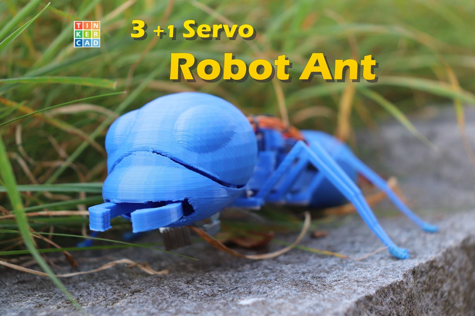 Blue Robot Ant