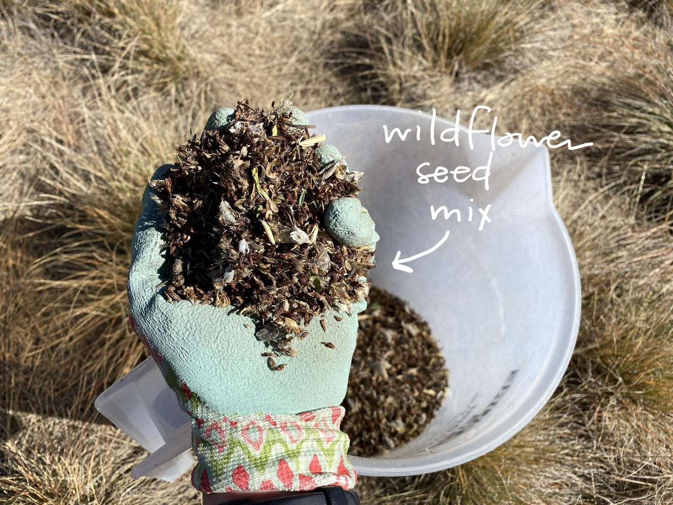 How to Gather Seeds
