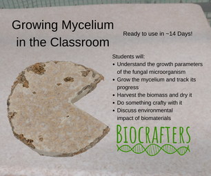 Growing Mycelium in the Classroom and Making Stuff With It - Biofabrication
